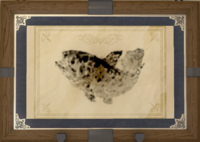 Coelacanthus print.png