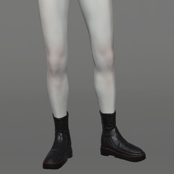 File:Cozy Valentione Shoes Female.jpeg