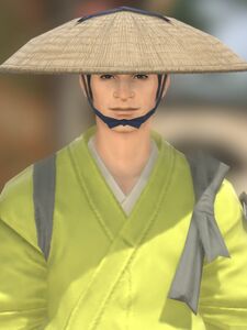 Doman Miner