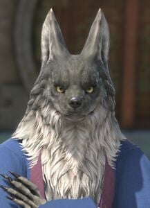 Hakuro