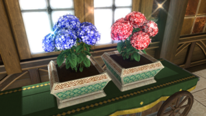 Hydrangea Flowers1.png