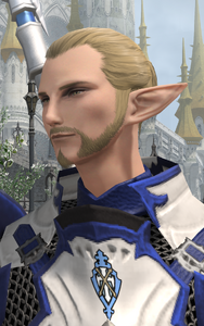 Ser Ignasse from a Cutscene
