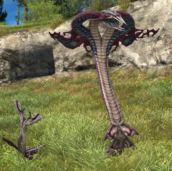 File:Territorial Cobra.jpg