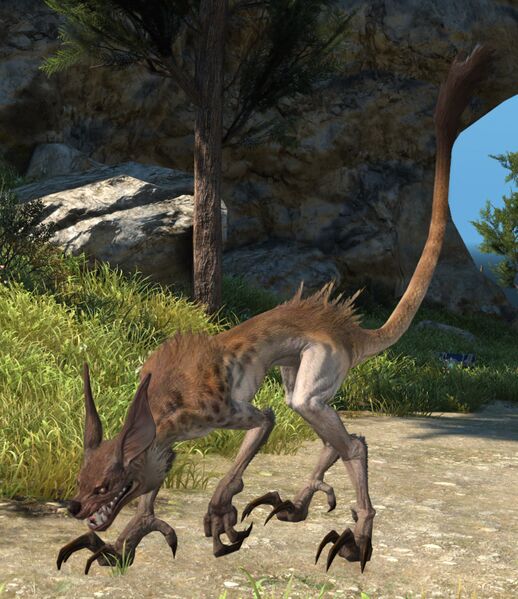 File:Raggedy Jackal.jpg