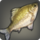 Catching carp icon1.png