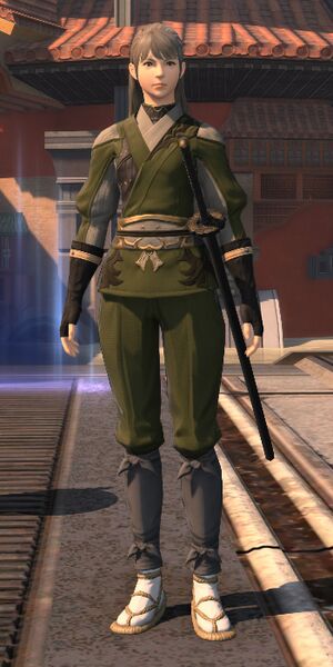 File:Doman Liberator DS.jpg