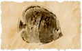 Thumbnail for version as of 17:12, 28 April 2026