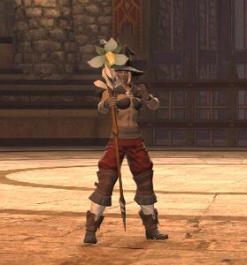 Silent Moss the Solemn
