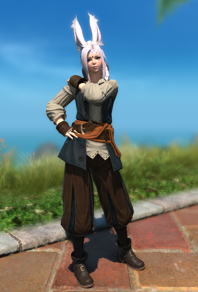 File:Tradewinds Tunic Front.png