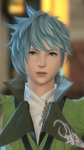 Kytte