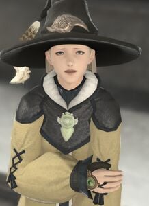 Despondent Conjurer