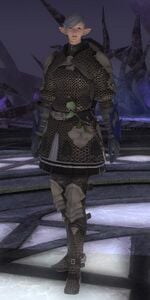Temple Chirurgeon (Duty Support)