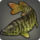 Tiger muskellunge icon1.png
