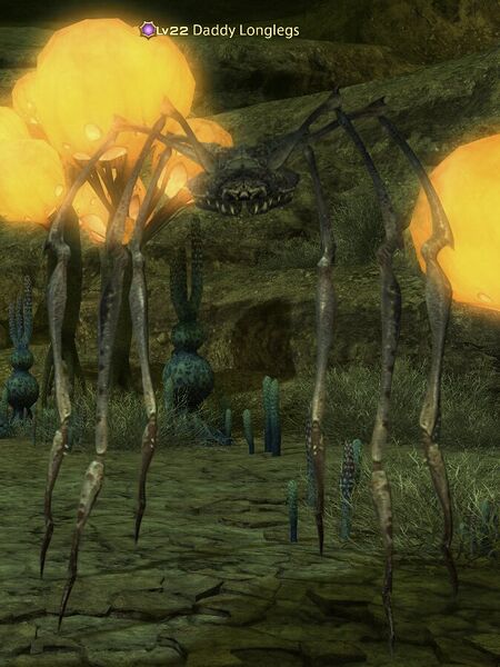 File:Daddy Longlegs.jpg