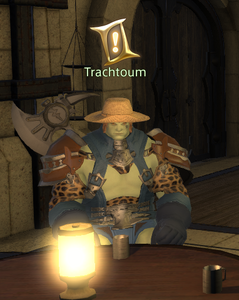 Trachtoum