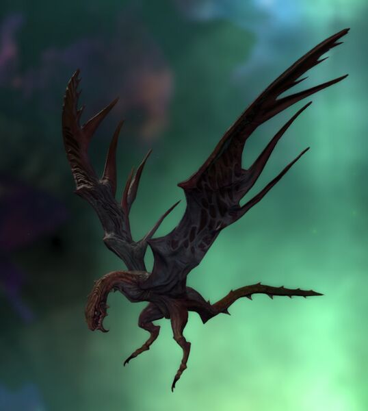 File:Malformed Dragonet.jpg