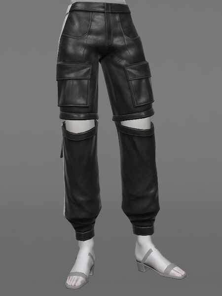 File:Rule-breaker's Bottoms Female.jpeg