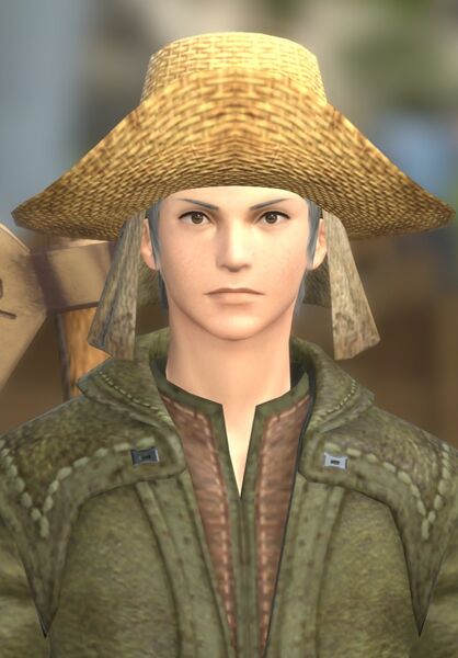 File:Farmer in Need.jpg