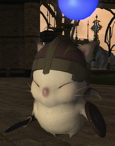 Nutsy