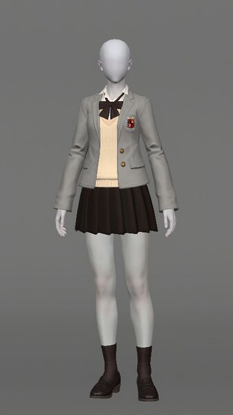 File:Collegiate Attire (Skirt) Female.jpeg