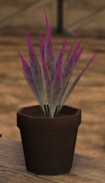 File:Dream Flower pot.jpg