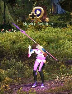 Novice Retainer
