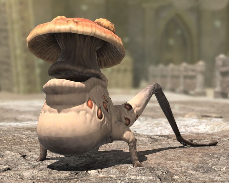 File:Crescent Moss Fungus.jpeg