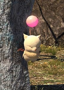 Managing Moogle