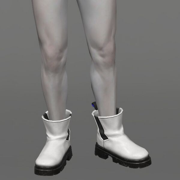 File:Rule-breaker's Boots Male.jpeg