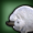 Lost Lamb icon1.png