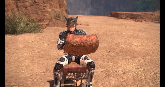 Meat cooking cutscene