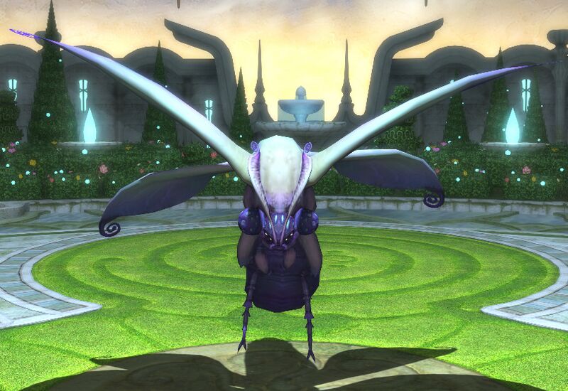 File:Dungeon Etainmoth.jpg