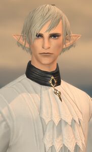 Elezen Man