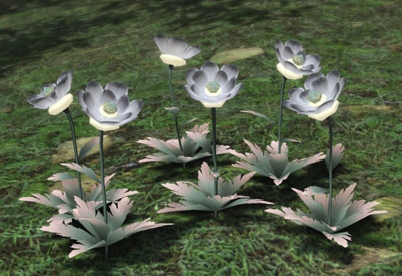 File:Elpis Flower (Ashen Grey).jpg
