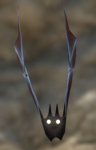 File:Dusk Bat.jpg