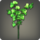 Green sweet peas icon1.png