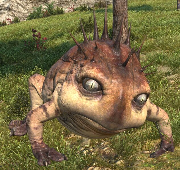 File:Riverbank Toad.jpg