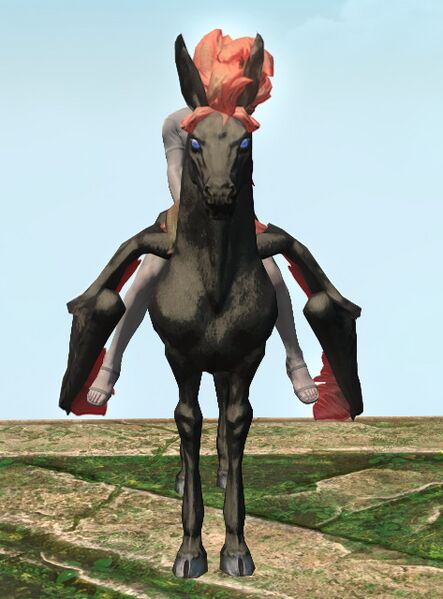 File:Black Pegasus front.jpg