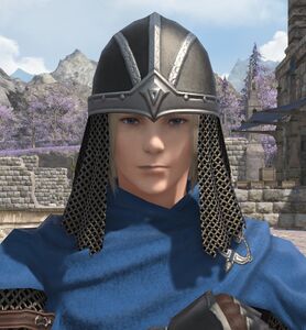 Steadfast Guard