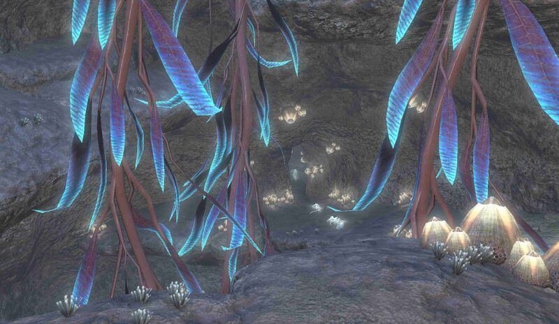 File:The Caliban Gap Kelp.jpg