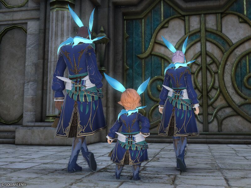 File:Emerald Carbuncle Attire3.jpg