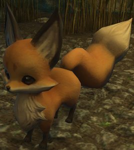 Kudagitsune