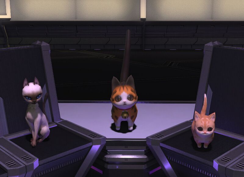 File:Brute Bomber pets.jpg