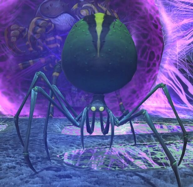 File:Spitting Spider.jpg