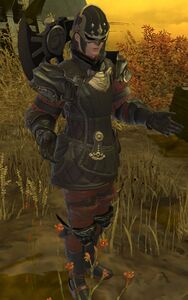 6th Legion Laquearius