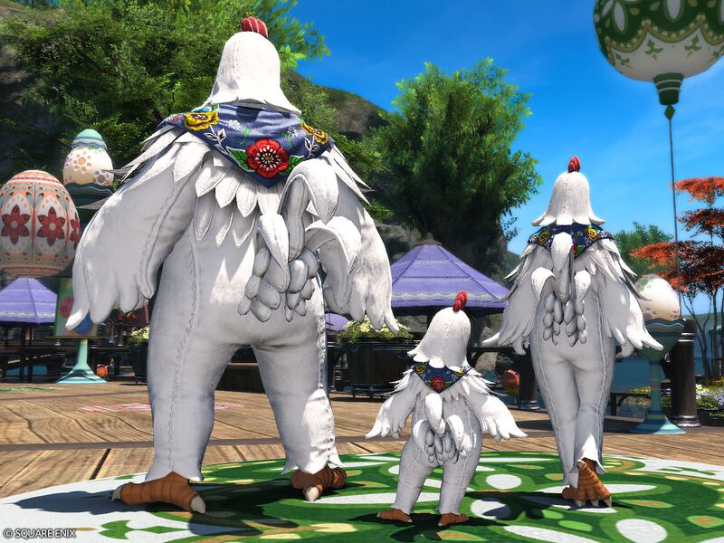 File:Chicken Attire3.jpg