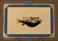 Thumbnail for version as of 19:17, 12 May 2026