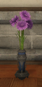 Purple Cornflowers