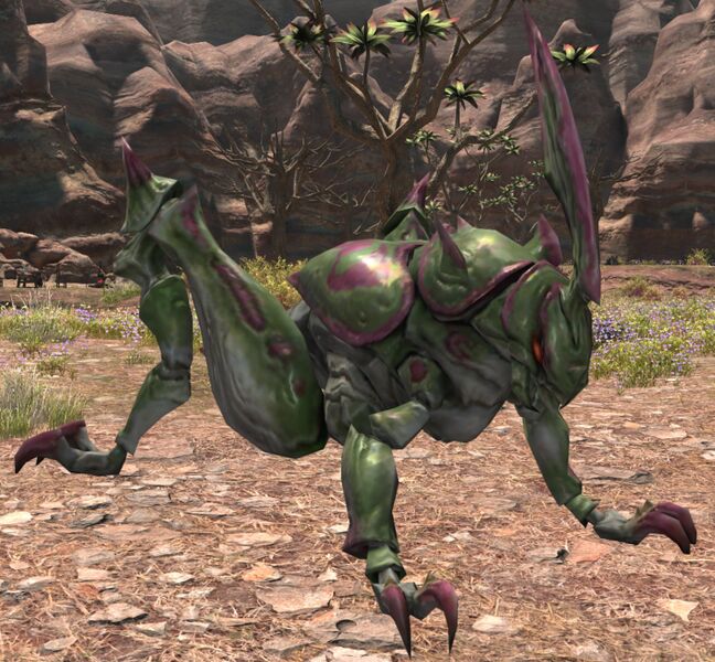 File:Supernal Chapuli.jpg