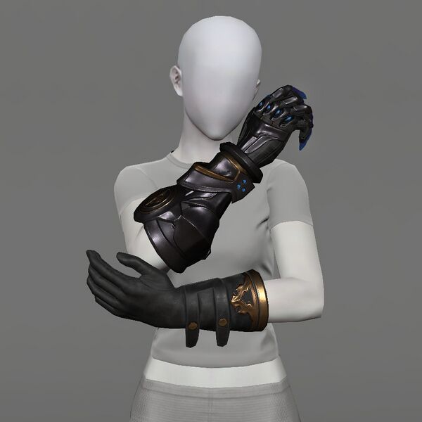 File:Realm-roamer's Gauntlets Female.jpeg